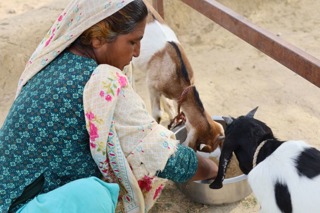 Pakistan Eau assainissement